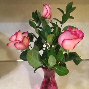 Meet your Posher, Suzanne